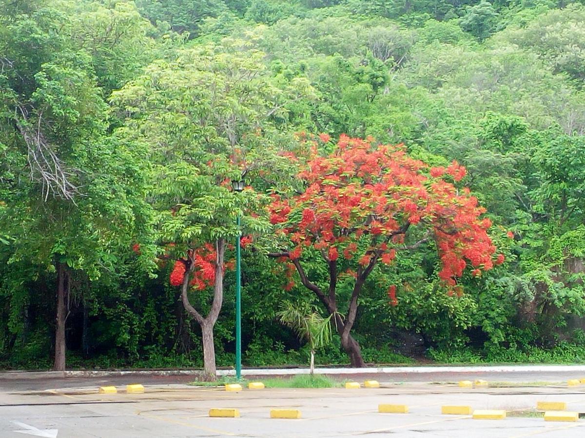 Ferienwohnung Camino Al Mar Santa Cruz Huatulco Exterior foto
